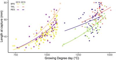 The Interannual Variability of the Fall Size of Young-of-The-Year Chub (Squalius cephalus): Influence of Phenology, Growth Patterns and Abiotic Factors